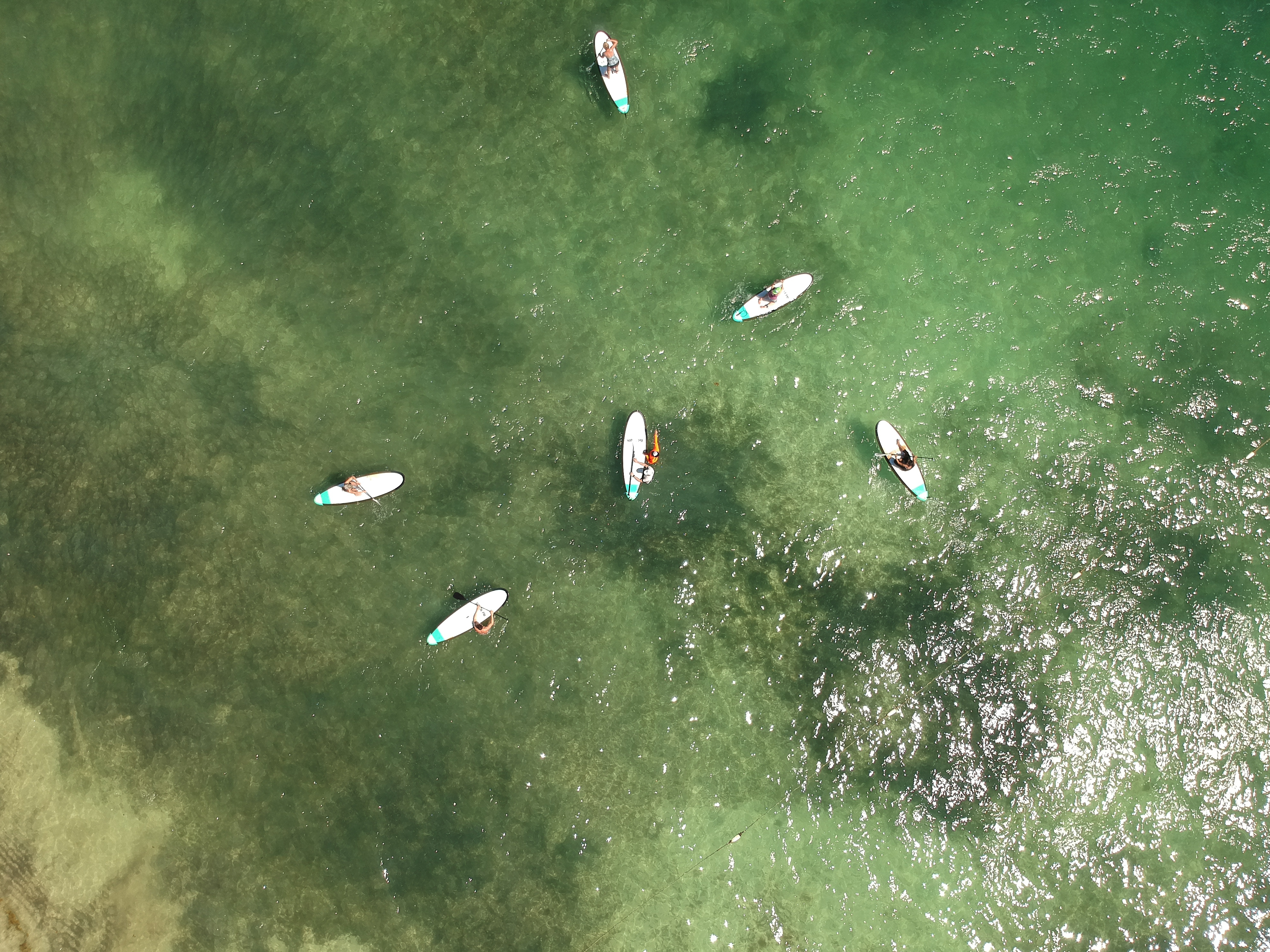Environmentally friendly activities like paddle boarding in Playa Mujeres