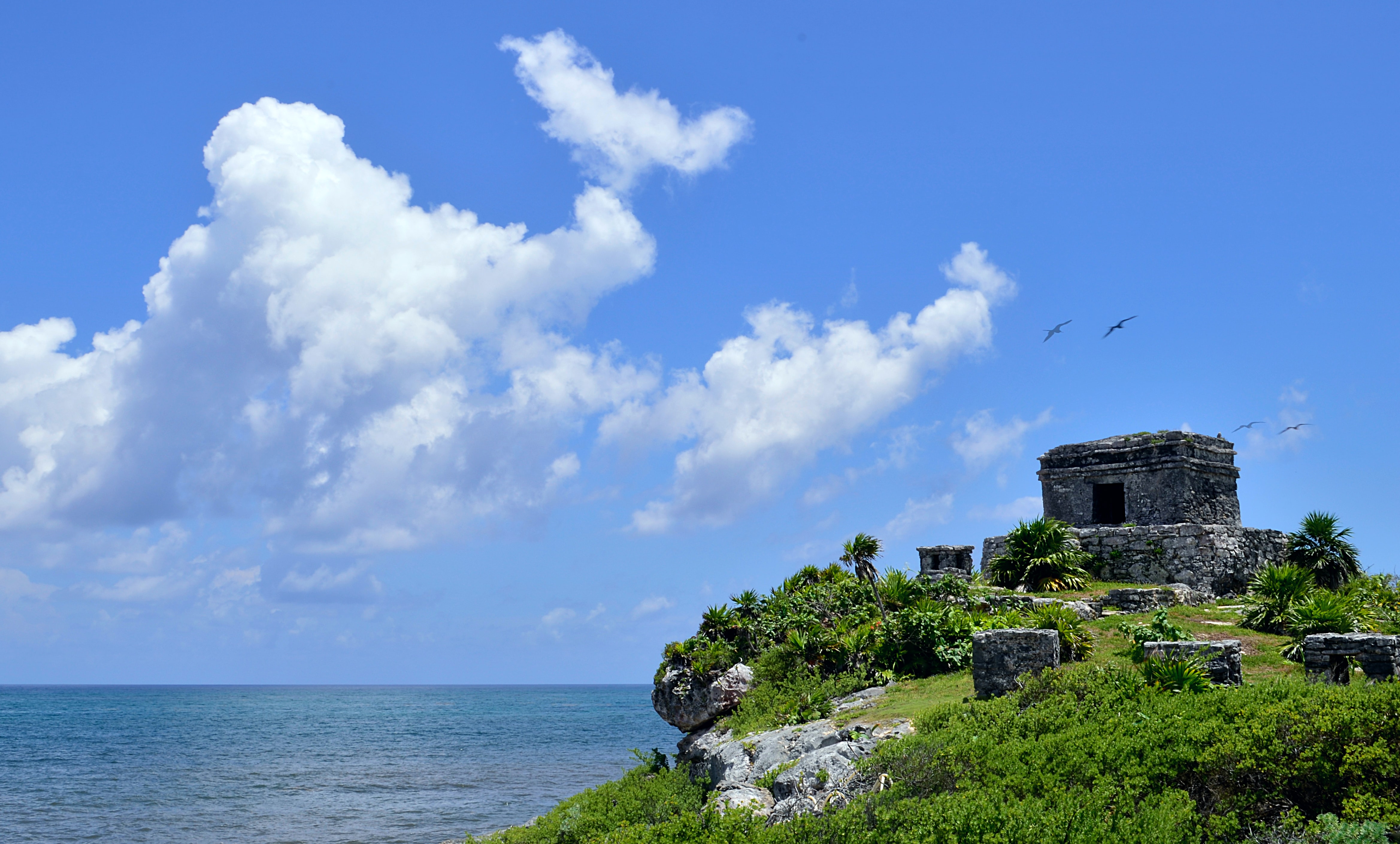 View of the ruins of Tulum and the natural surroundings