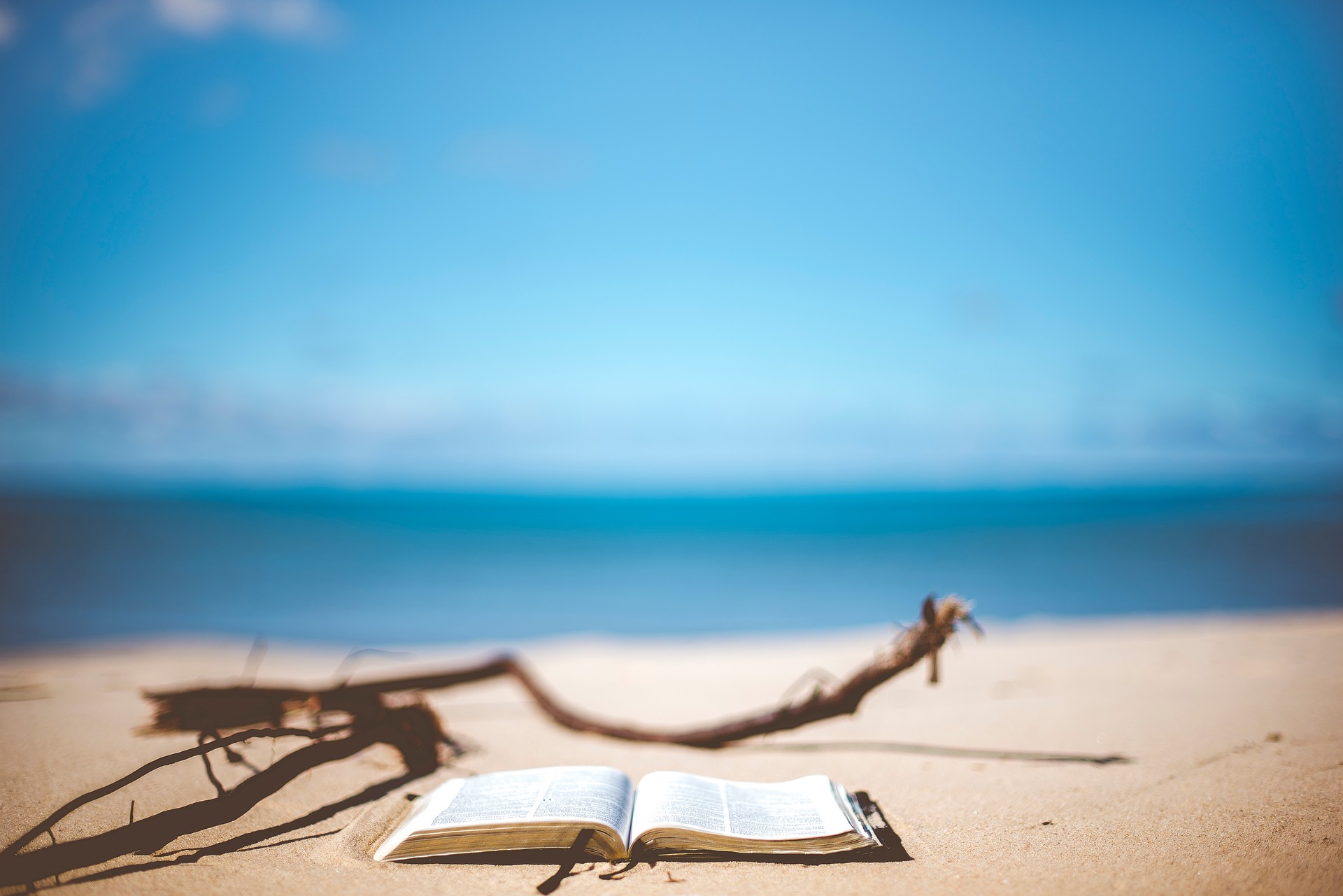 Find the perfect book to read on the beach